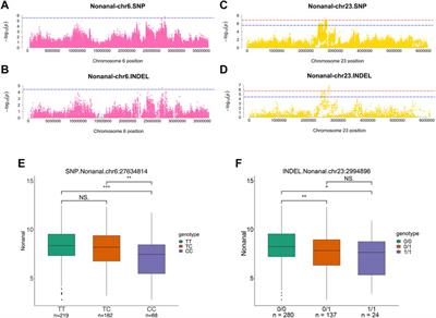 Fatty acid metabolism-related genes are associated with flavor-presenting aldehydes in Chinese local chicken